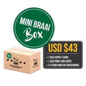 MINI BRAAI BOX