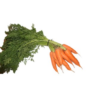 Carrots - Bunch