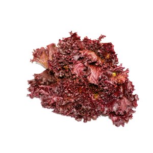 Red Lettuce - Each