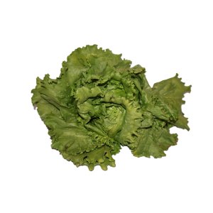 Green Lettuce - Each
